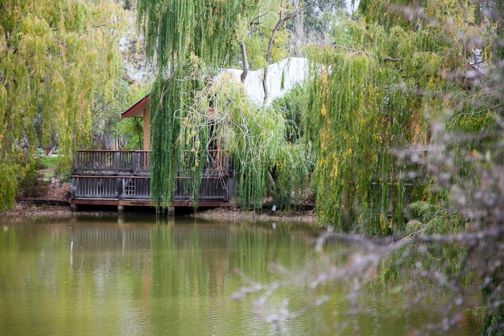 Hotel Perricoota Vines Retreat Moama Habitación foto