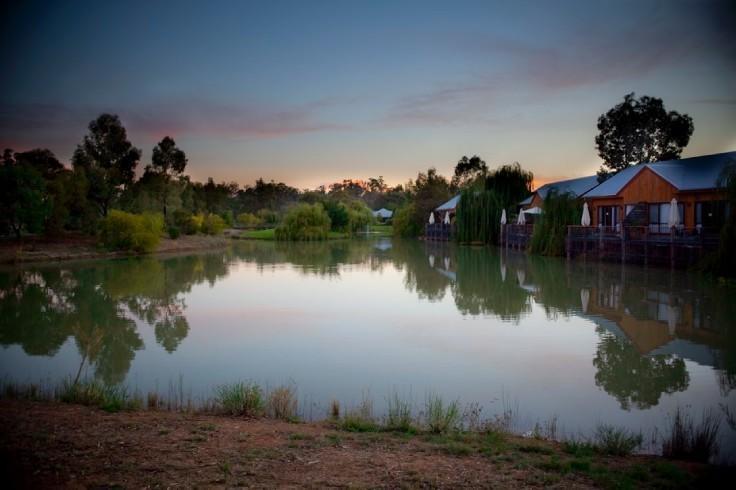 Hotel Perricoota Vines Retreat Moama Habitación foto