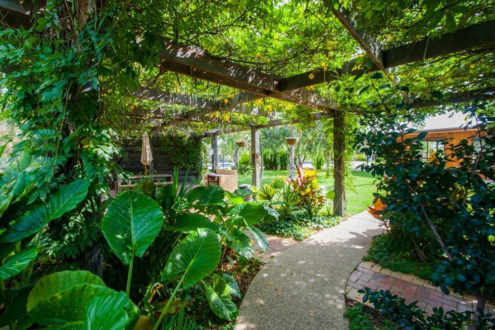 Hotel Perricoota Vines Retreat Moama Exterior foto