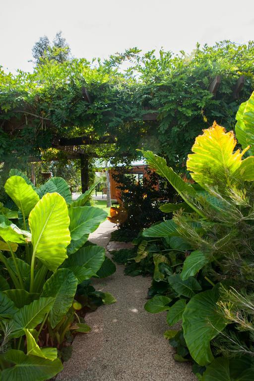 Hotel Perricoota Vines Retreat Moama Exterior foto