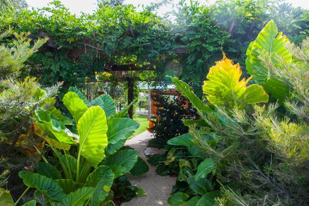 Hotel Perricoota Vines Retreat Moama Exterior foto